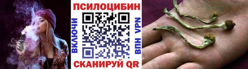 Псилоцибиновые грибы прущие грибы  Бутурлиновка 